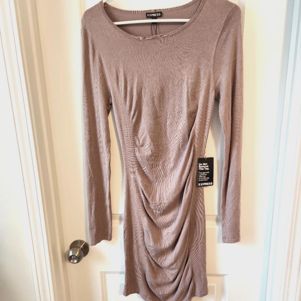 Never worn long sleeve bodycon dress from Express.